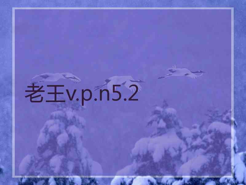 老王v.p.n5.2