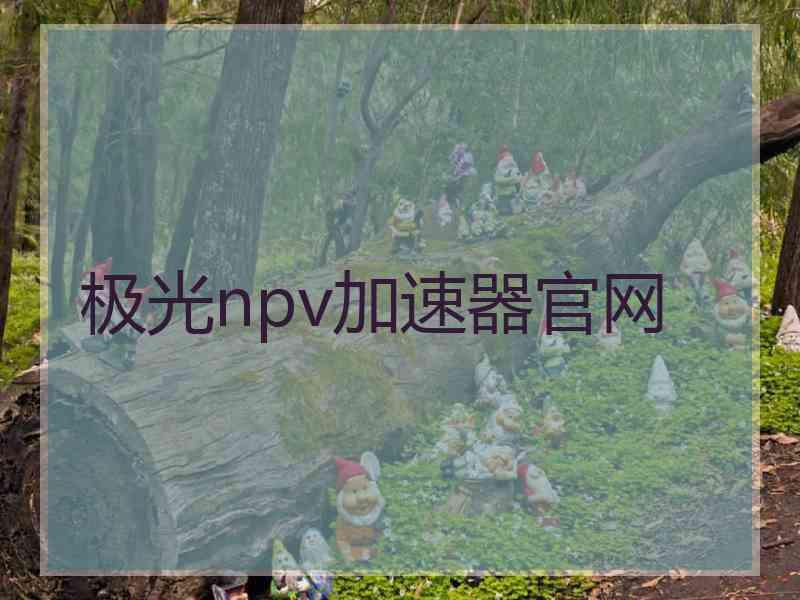 极光npv加速器官网