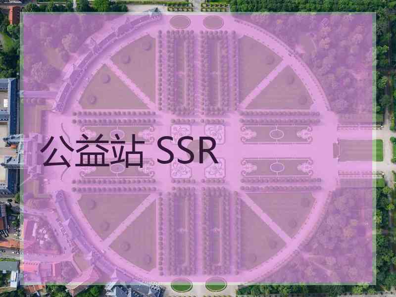 公益站 SSR