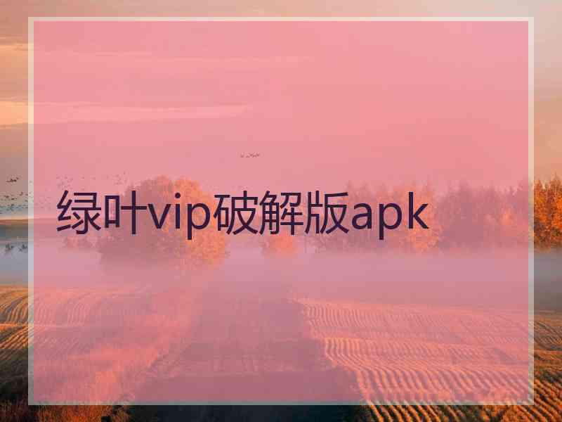 绿叶vip破解版apk