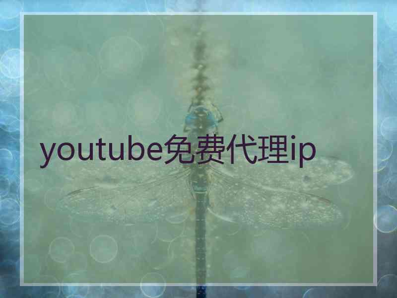 youtube免费代理ip