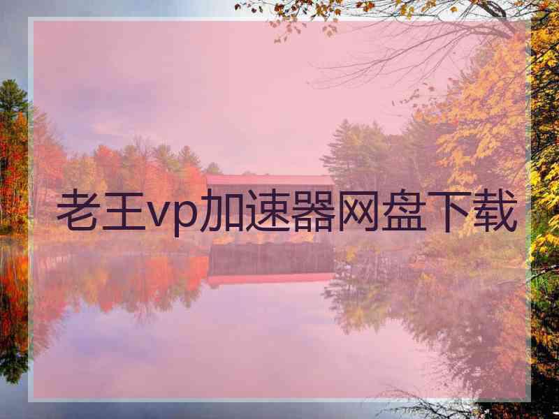 老王vp加速器网盘下载