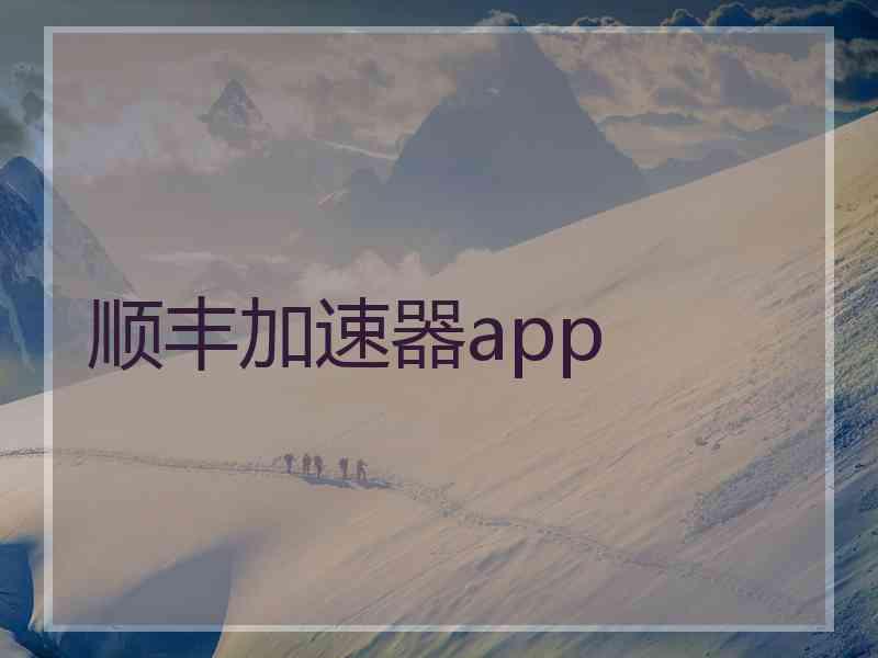 顺丰加速器app