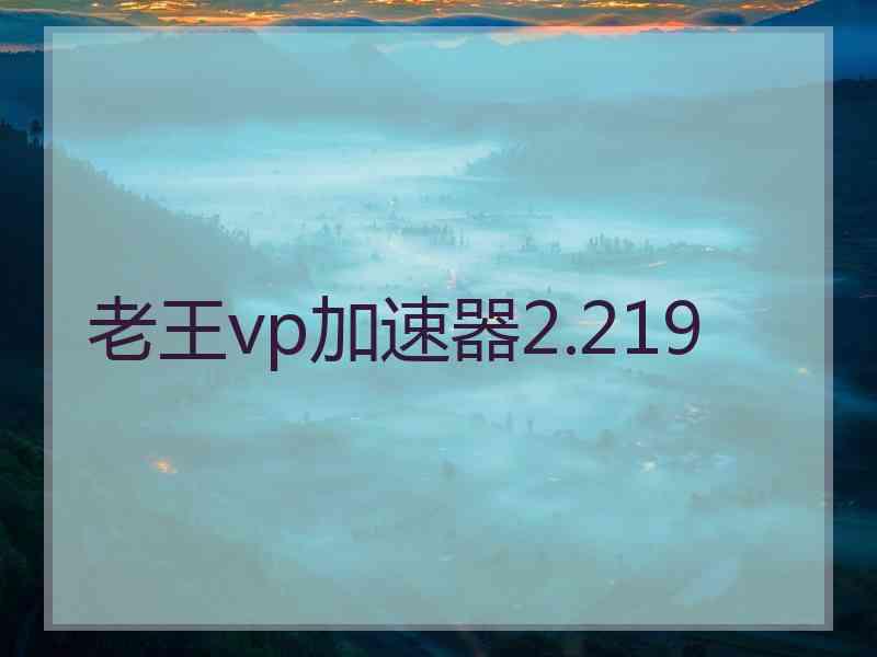 老王vp加速器2.219