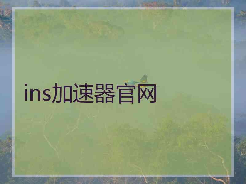 ins加速器官网