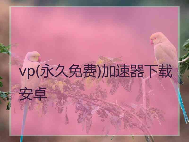 vp(永久免费)加速器下载安卓