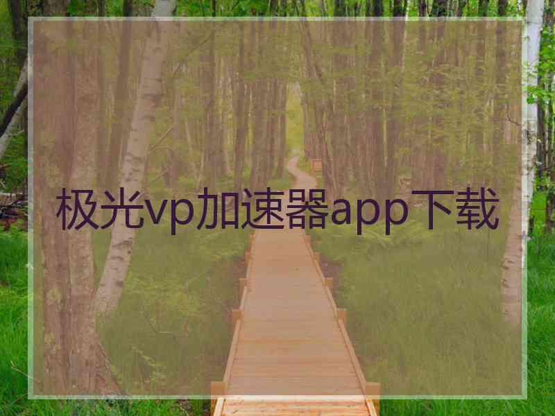 极光vp加速器app下载