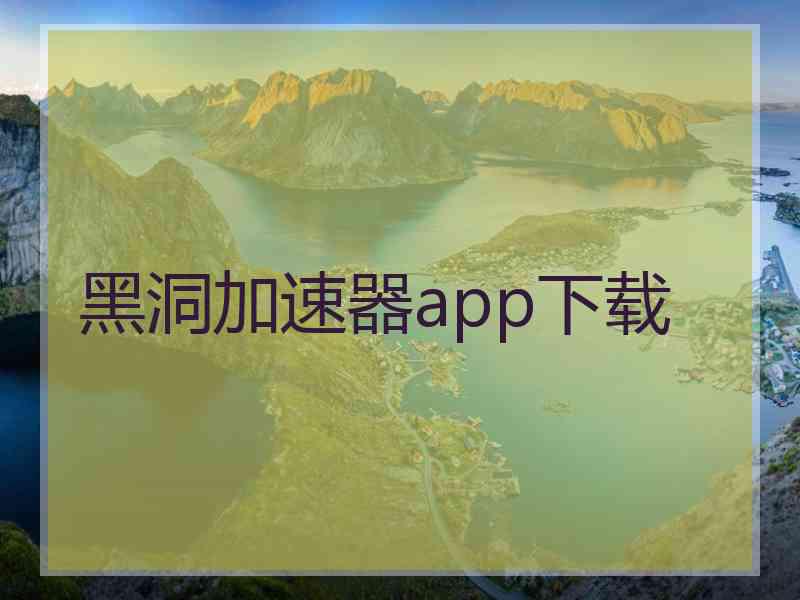 黑洞加速器app下载