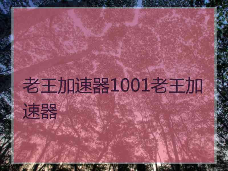 老王加速器1001老王加速器