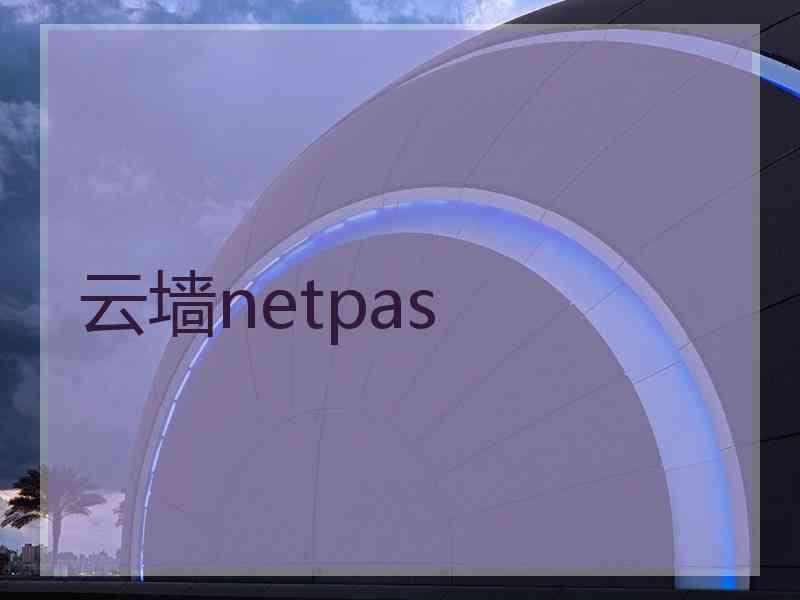 云墙netpas