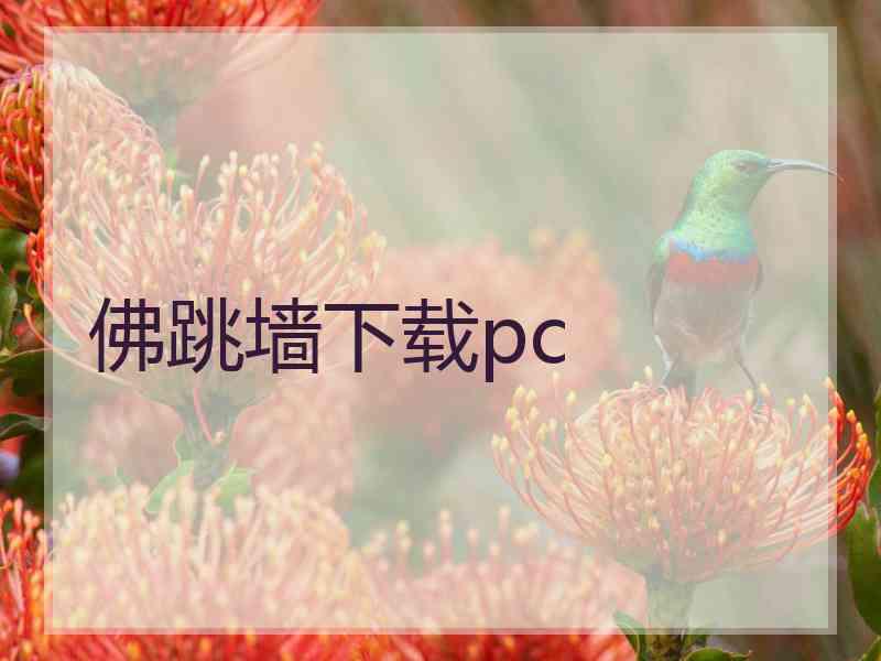 佛跳墙下载pc