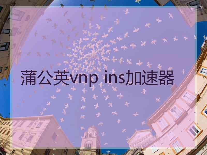 蒲公英vnp ins加速器