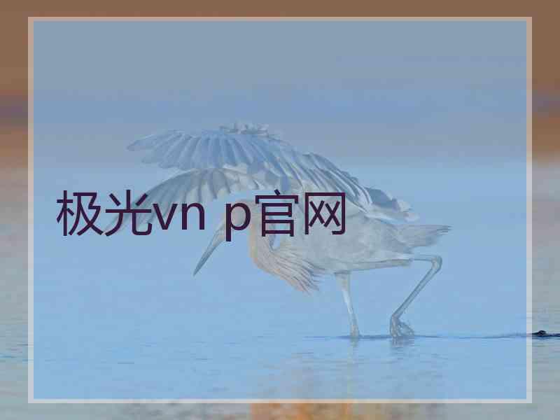 极光vn p官网