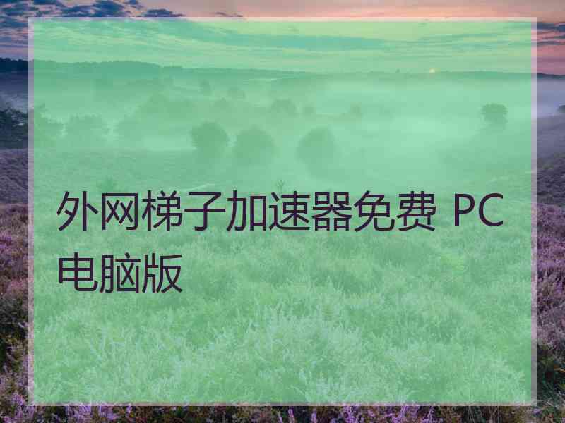 外网梯子加速器免费 PC电脑版