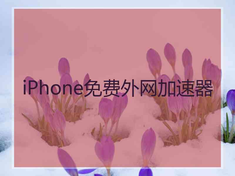 iPhone免费外网加速器