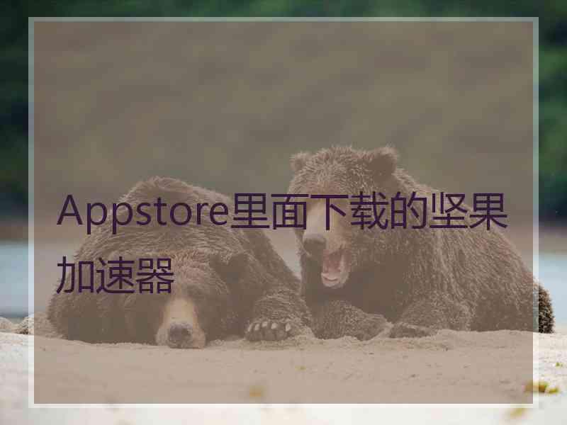 Appstore里面下载的坚果加速器