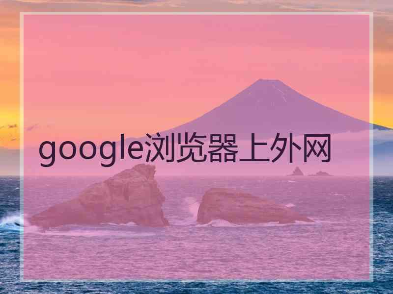 google浏览器上外网