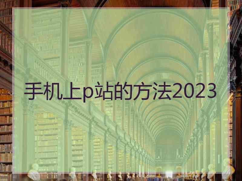 手机上p站的方法2023