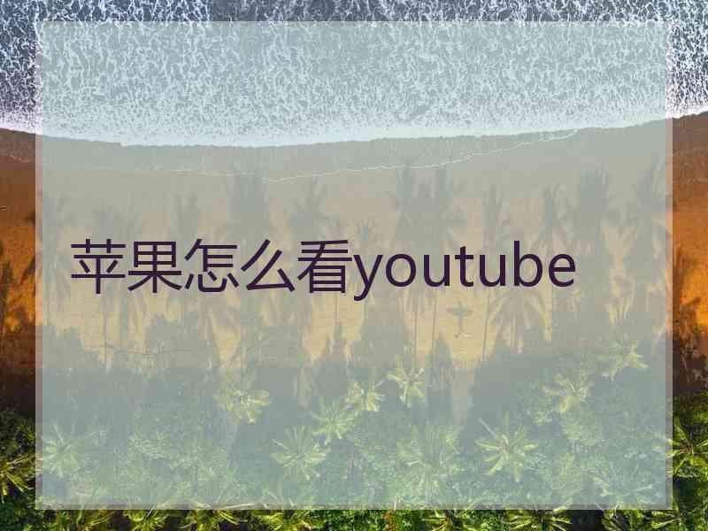 苹果怎么看youtube