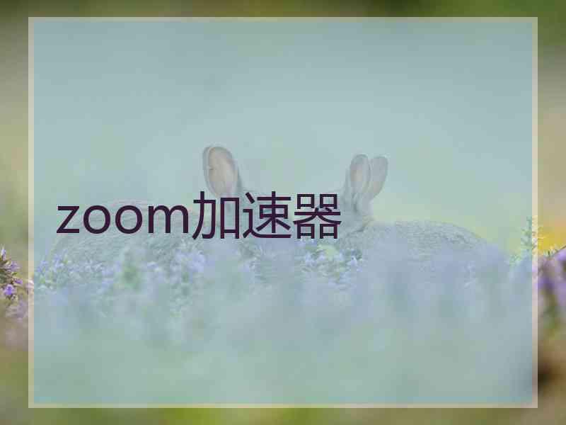 zoom加速器