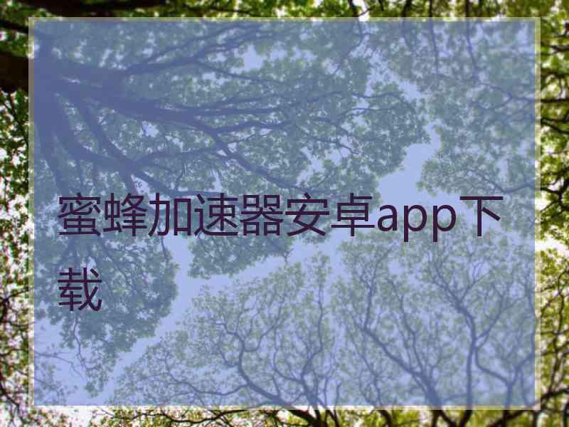 蜜蜂加速器安卓app下载