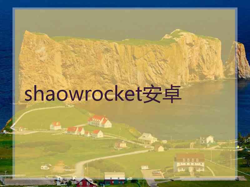 shaowrocket安卓