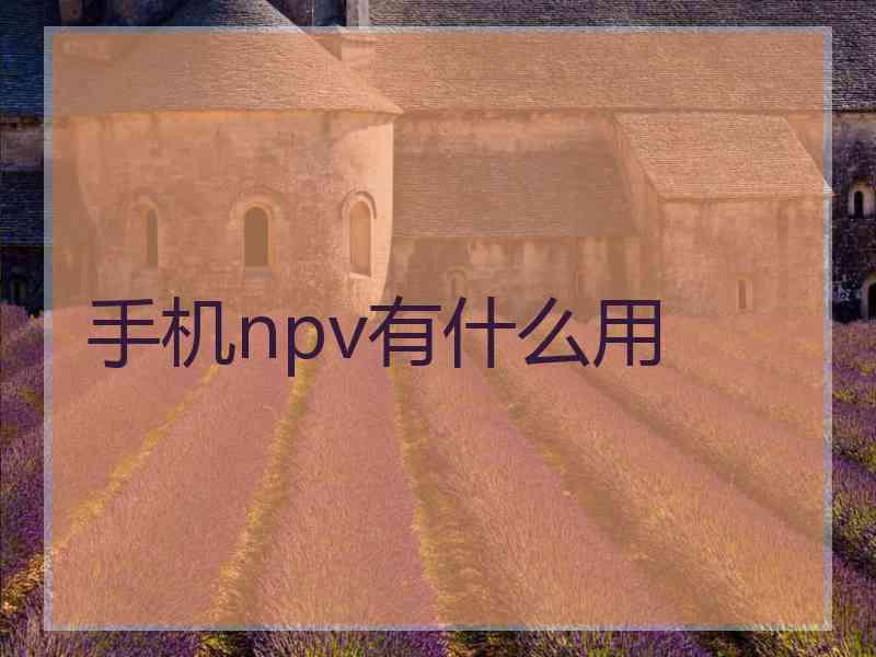 手机npv有什么用