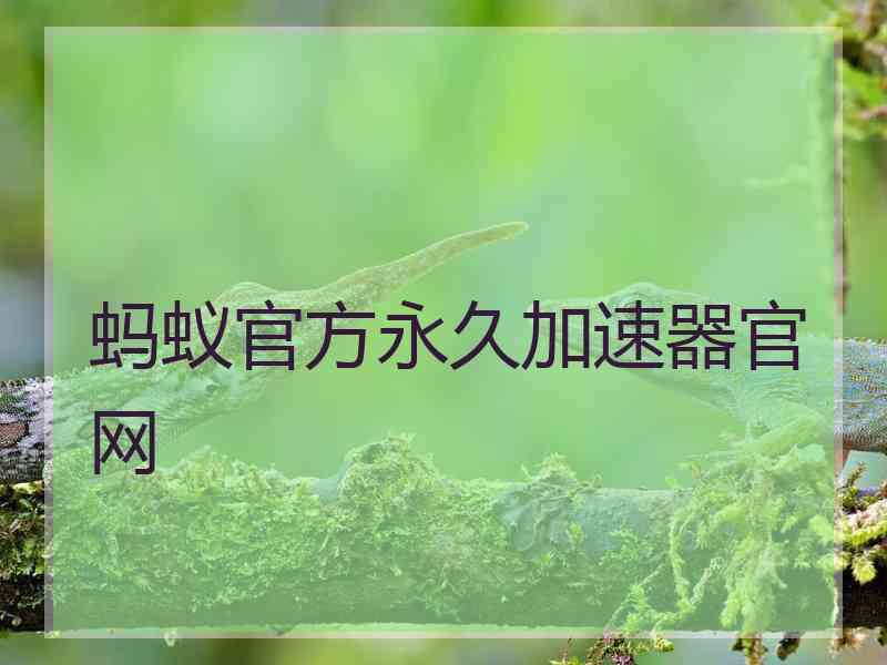 蚂蚁官方永久加速器官网