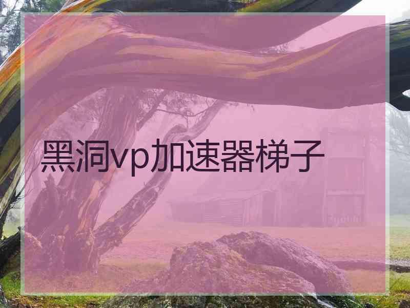 黑洞vp加速器梯子