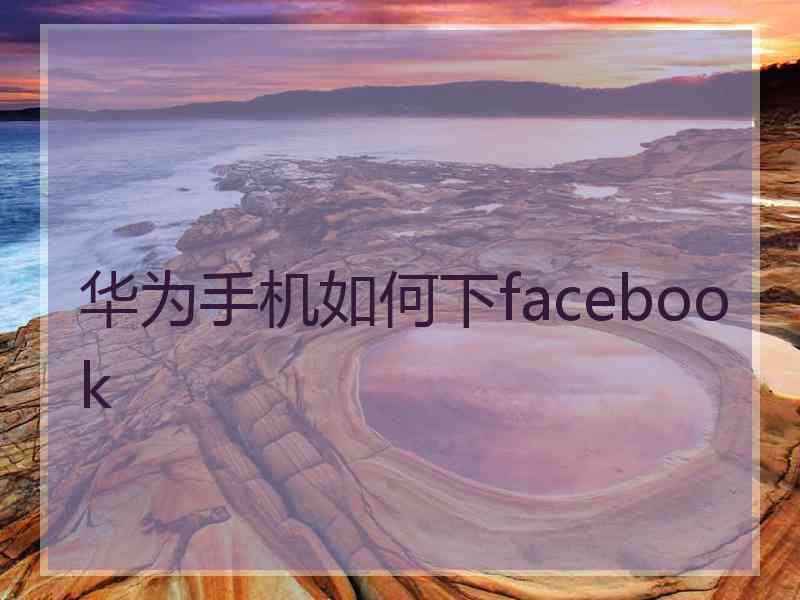 华为手机如何下facebook