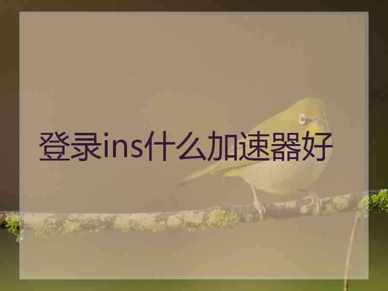 登录ins什么加速器好