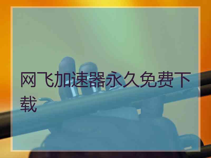 网飞加速器永久免费下载