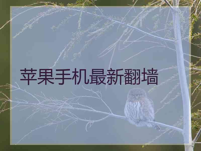 苹果手机最新翻墙