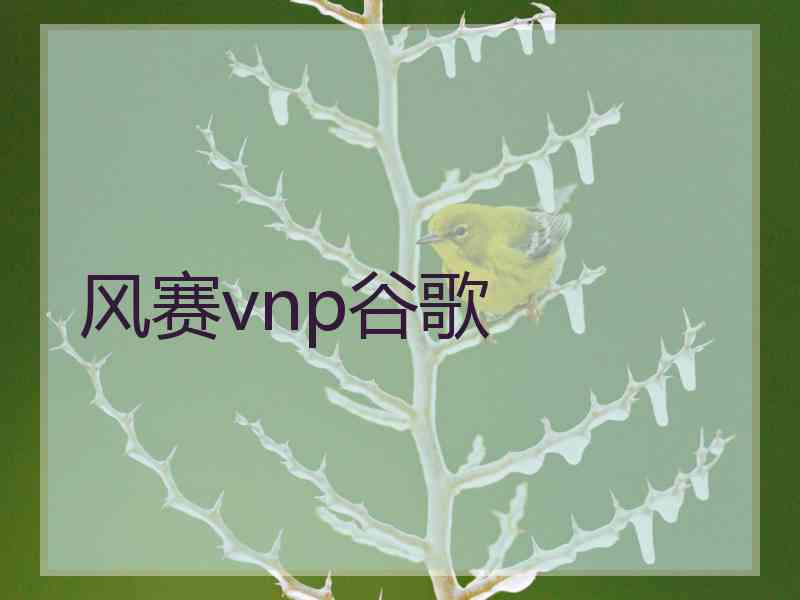 风赛vnp谷歌