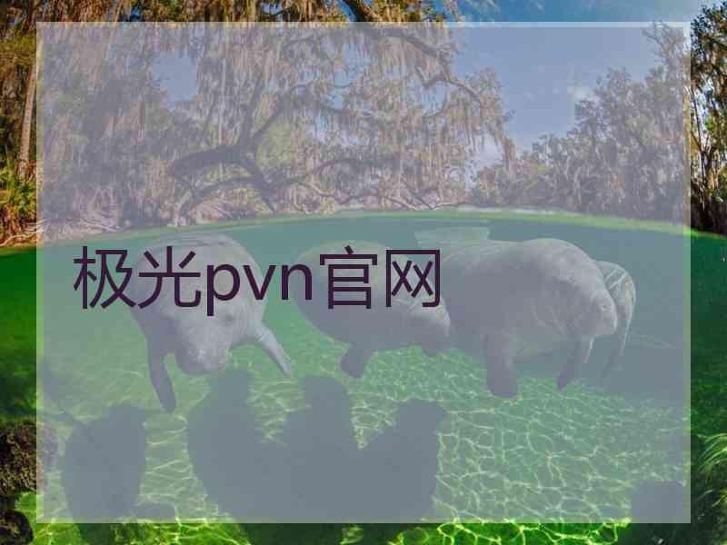 极光pvn官网