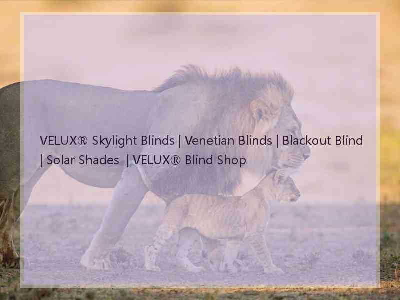 VELUX® Skylight Blinds | Venetian Blinds | Blackout Blind | Solar Shades  | VELUX® Blind Shop