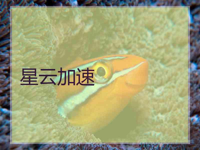 星云加速