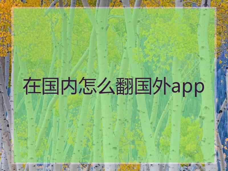 在国内怎么翻国外app