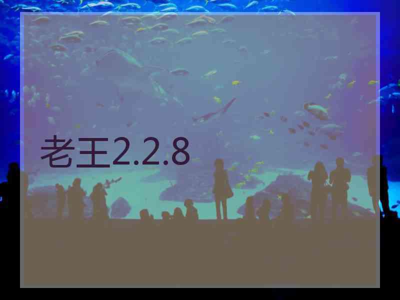 老王2.2.8