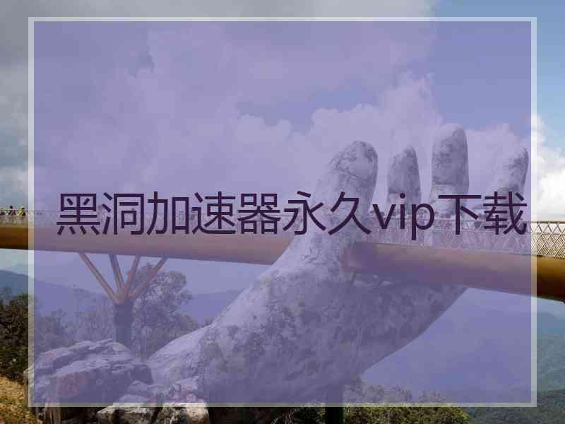 黑洞加速器永久vip下载