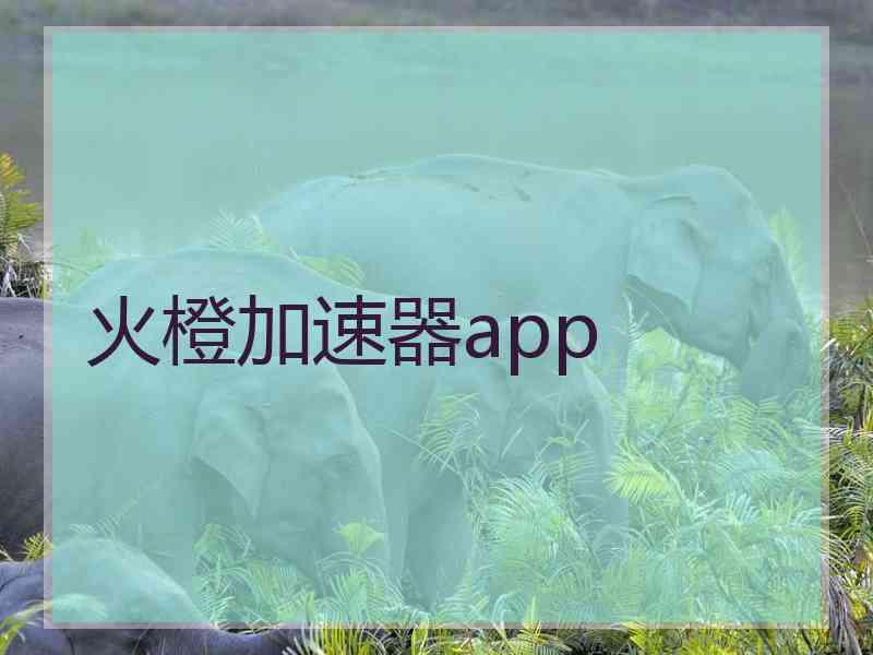 火橙加速器app