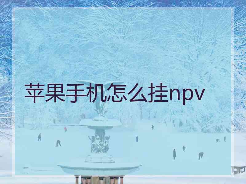 苹果手机怎么挂npv