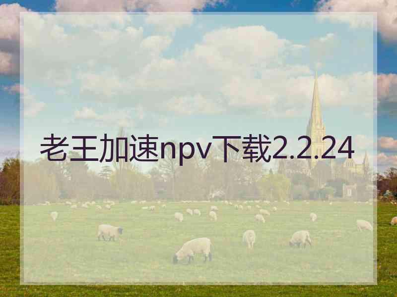 老王加速npv下载2.2.24