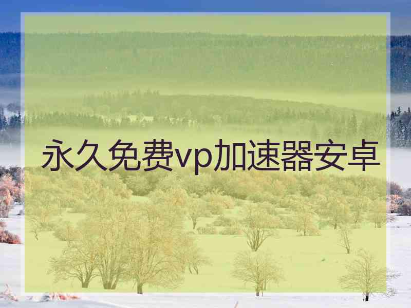 永久免费vp加速器安卓