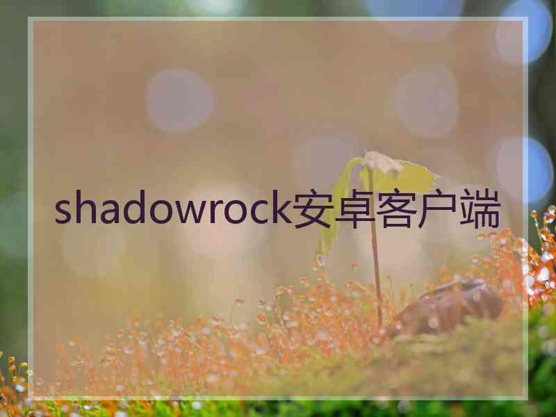 shadowrock安卓客户端