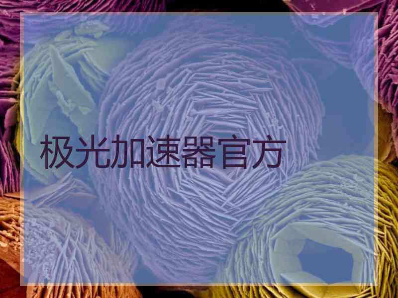 极光加速器官方