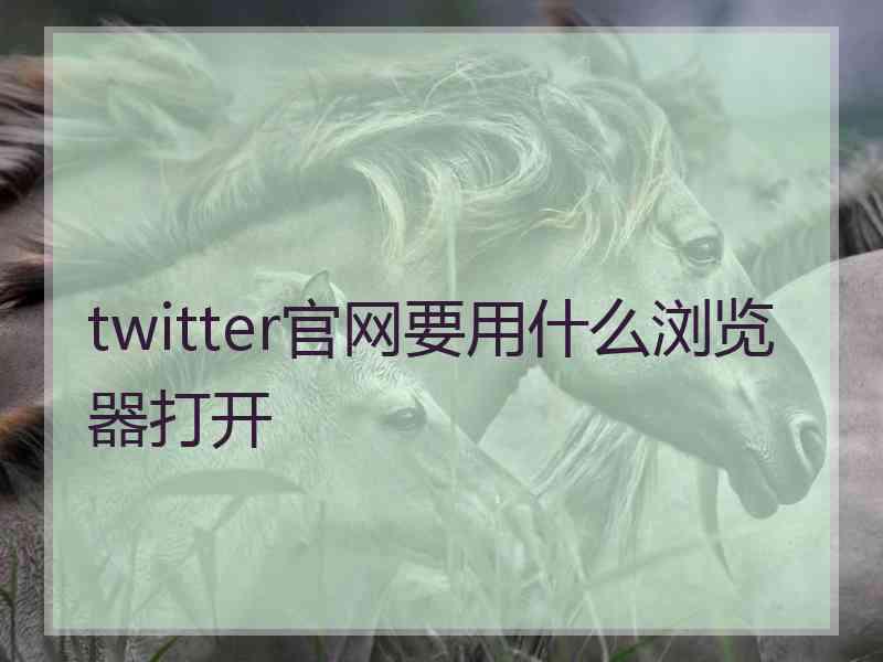 twitter官网要用什么浏览器打开