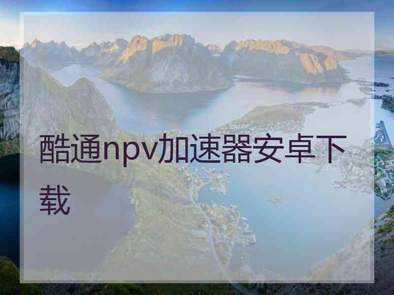 酷通npv加速器安卓下载