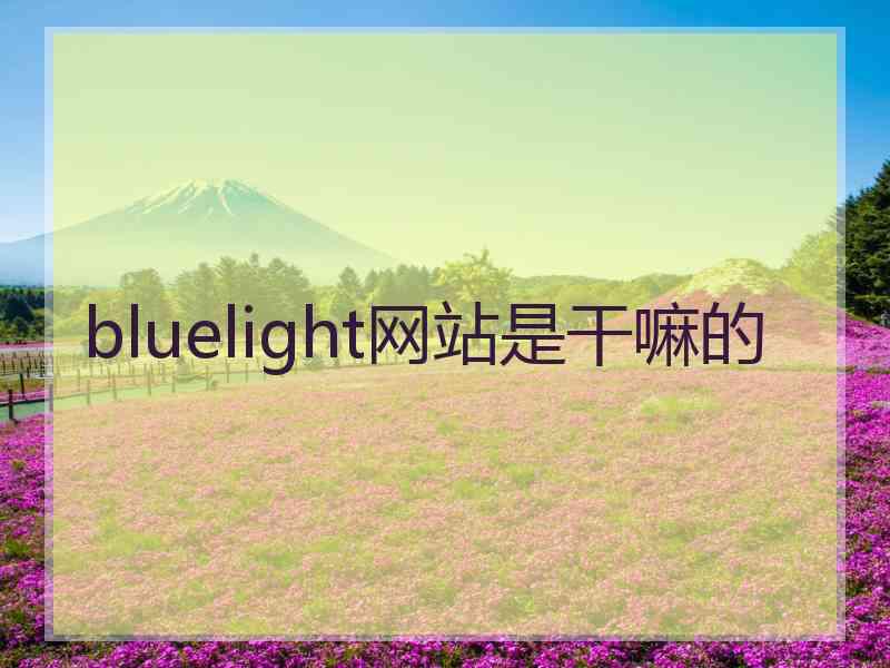 bluelight网站是干嘛的