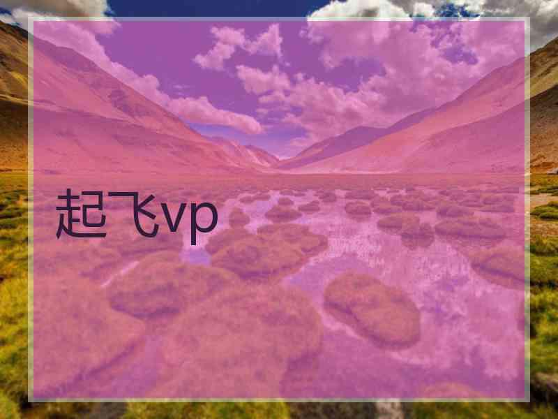 起飞vp